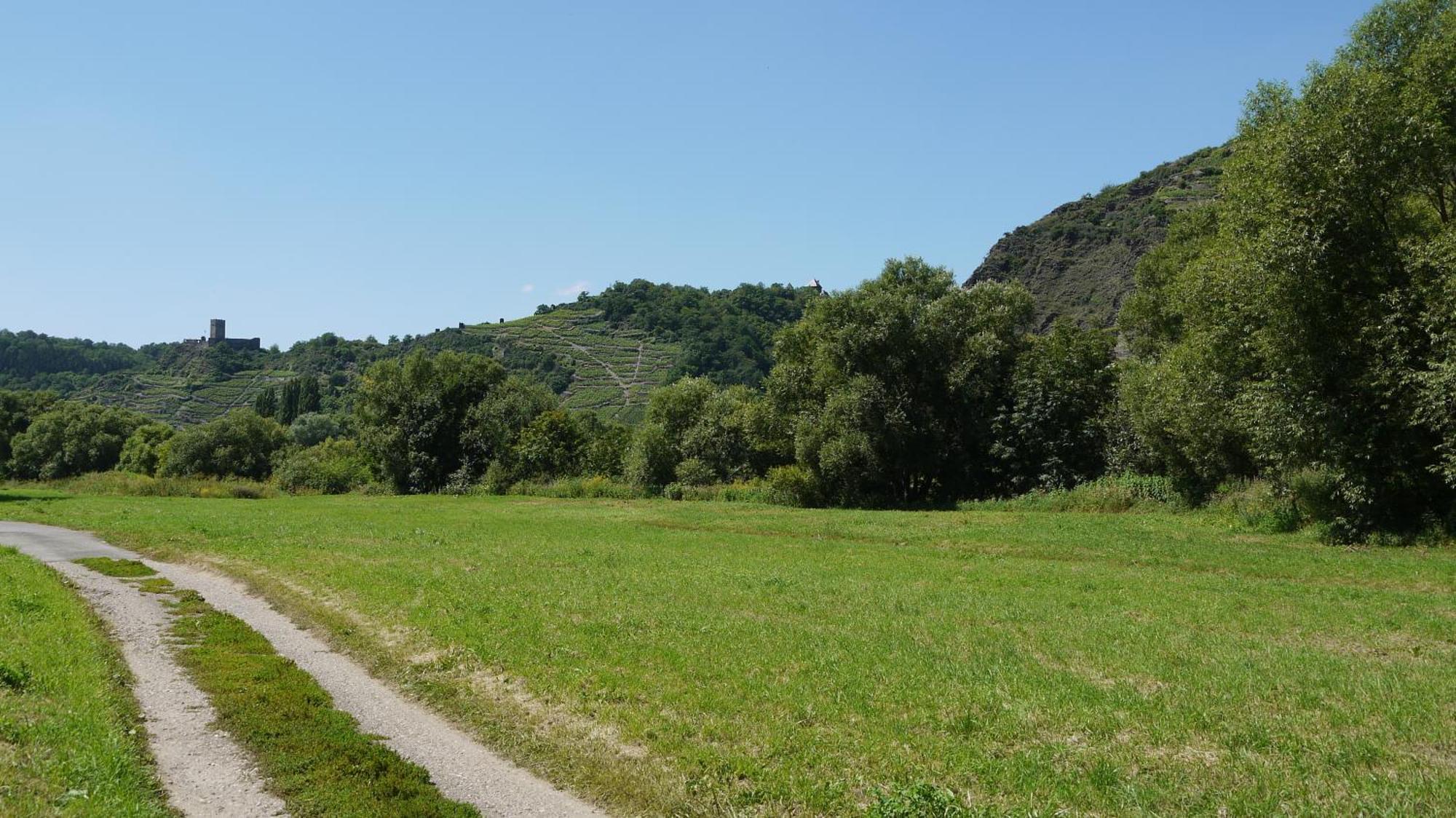דיבליך Hotel-Garni-Kachelburg מראה חיצוני תמונה